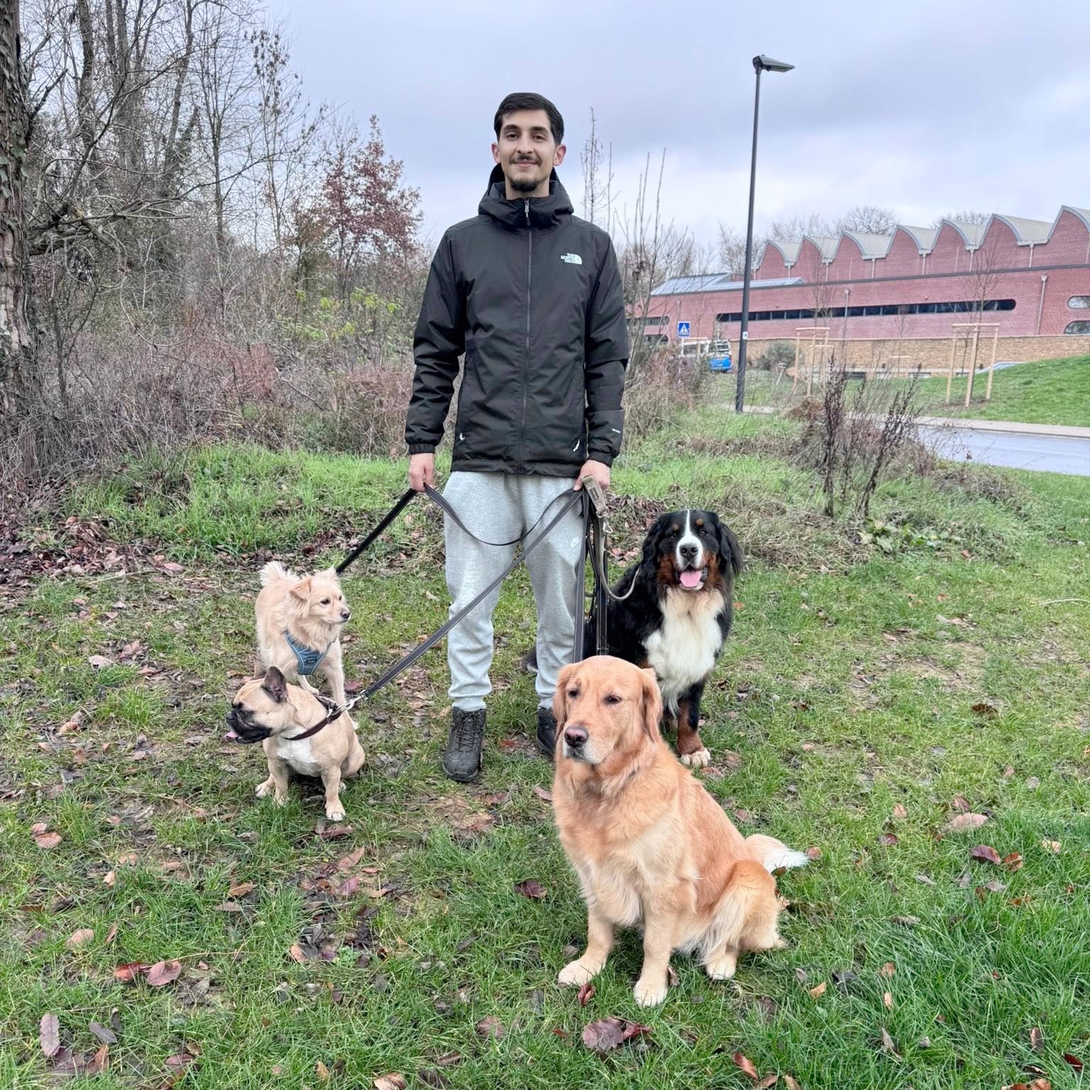 Chien en liberté